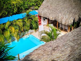 El Leon Feliz Palomino - 4