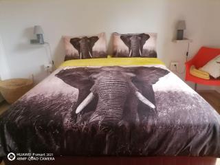 Victoria Falls African Guest House - 9