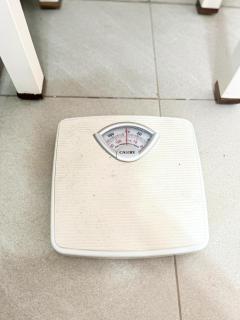 Beachfront Cabin with AC, Starlink, hot water, Nature Paradise - 1