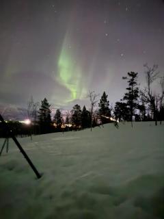Stilfull og sentrumsnær leilighet på Setermoen -  - 5