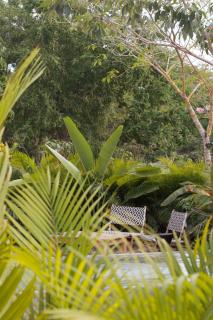 Chamela Boutique Apartments - 8