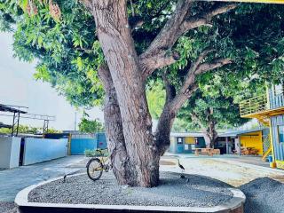 Suíte de Luxo em Boa Vista - 4