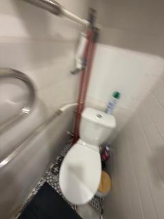 Olegas is Waiting for Guests - 2