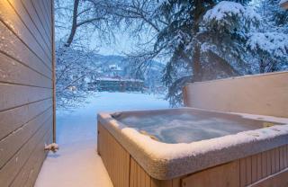 3BR Mountain Retreat Ski Hike and Private Hot Tub - 7