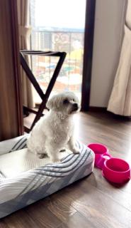 DREAM By Stannum Hotel - 8