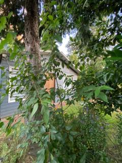 Cabaña Cunco Los Alamos a 300 metros del Centro - 9