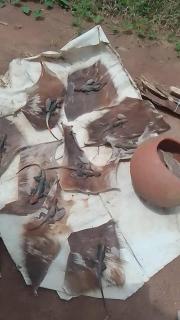 The most powerful herbalist healer native doctor - 2