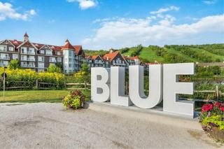 Grand 8-Bedroom Retreat 7 Baths - Perfect Chalet - 7