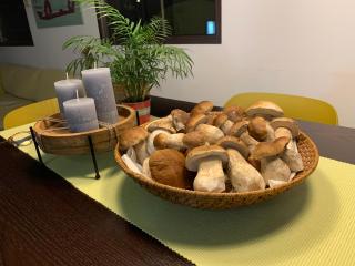 Green House kuća s 4 spavaće sobe - 1