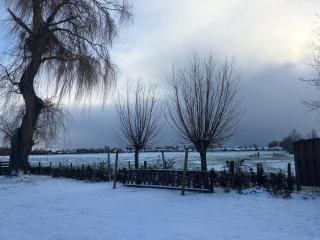 Vakantiehuis Het Uilennest - 5