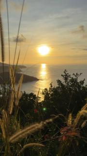 Dolcevita Residence - Oasi Island Stay Puerto Princesa - 4