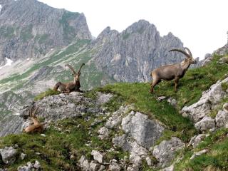 Holiday apartment with 0 bedrooms - 6