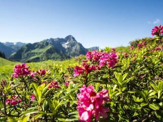 Holiday apartment with 0 bedrooms - 3