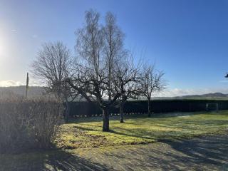 Holiday home in Neichen with barbecue - 5