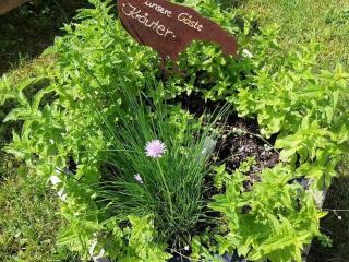 Holiday apartment with 2 bedrooms - 3