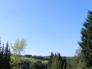 Eifelcottage Stork's Nest - 8