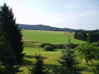 Eifelcottage Stork's Nest - 5