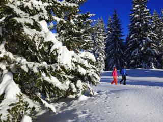 Holiday apartment no 7 Rauschberg - 4