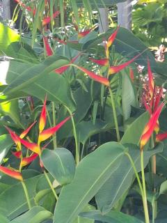 Home Business Retreat - 4