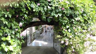Apartment Rogacic 2460a - 3