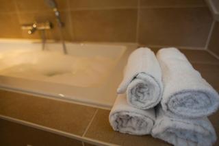 Parc Ganuenta - Luxe wellness villa's - 8