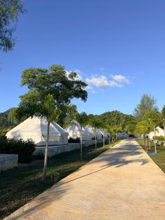 L'camp and cafe' Kohchang - 5