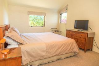 Arrowtown Dress Circle - 4