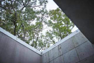 Warabino - 6