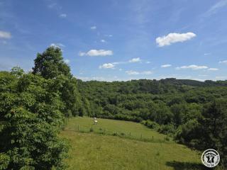 Maison indépendante près de Sarlat, cheminée, animaux acceptés - FR-1-616-130 - 4