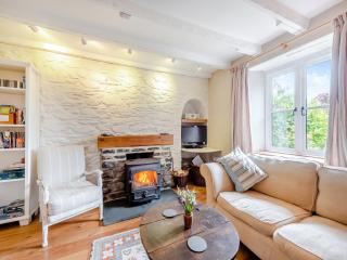 Trewellwell Cottage - 8