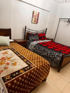 3 bedroom apartment dokki - 3