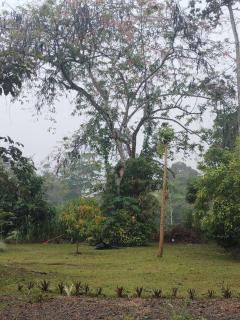 The Carao Caribbean Harmony - 7