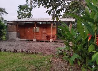 The Carao Caribbean Harmony - 5