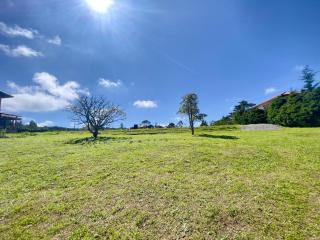 Cabaña Chalet Aves del Paraíso - 4