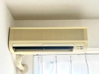 FLOLIA Nanba 203 - 6