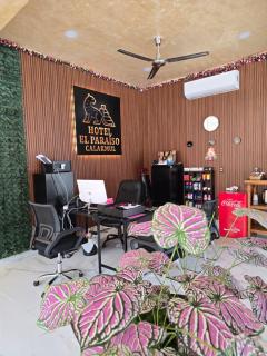 Hotel El Paraíso Calakmul - 6