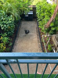 PET FRIENDLY Coolview - 8