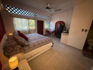 Remodeled Studios on Calle Adelita, Madera - 3