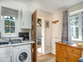 Bank Voles Nest - Uk45199 - 2