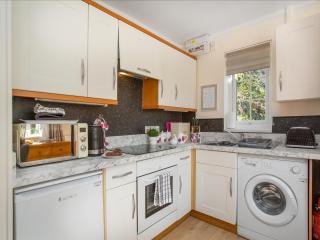 Bank Voles Nest - Uk45199 - 1