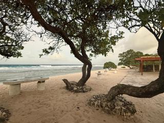 The Line Islands Resort - 4