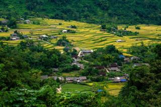 Pac Ngoi Village Homestay - 7