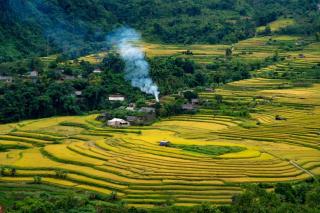 Pac Ngoi Village Homestay - 8