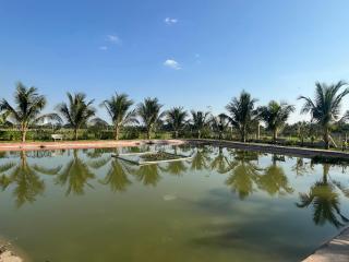 Melalueca homestay - 8