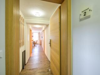 Ski-In Ski-Out Brunner Apartment Top 2 - 5