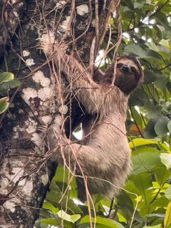 Bocas Sunset Beach House - 6