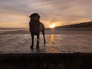 Jakes Beach house - 7