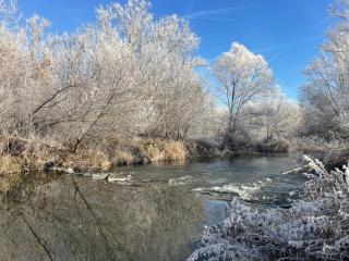 Appartment Schafstall - nah an Erfurt und Weimar - 7