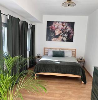 Green House kuća s 4 spavaće sobe - 3