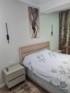 Alba-Iulia Luxury - 6